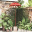 Balinese Parasol Cotton, Solid Wood-1032886787-1032886793