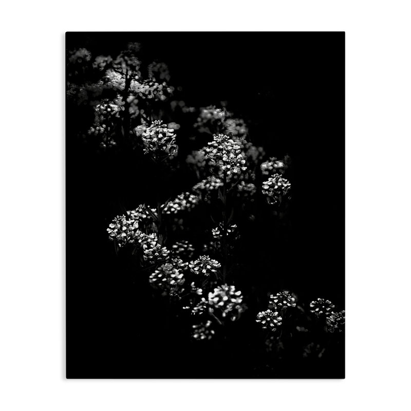 "Curved Blossom Line", art mural par Brian Carson bp-768_CN, H 48 po x l 36 po