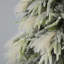 Flocked Realistic Pine and Pampas Christmas Tree 550 Warm White LED Lights - Includes a Storage Bag & Remote Control-85608181
