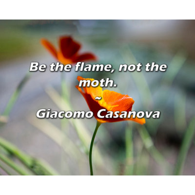 Artsy Quote "Be the flame, not the moth." By Giacomo Casanova Gallery Wrapped Canvas
