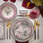 Marchesa Serengeti 12-Piece Dinnerware Set Porcelain