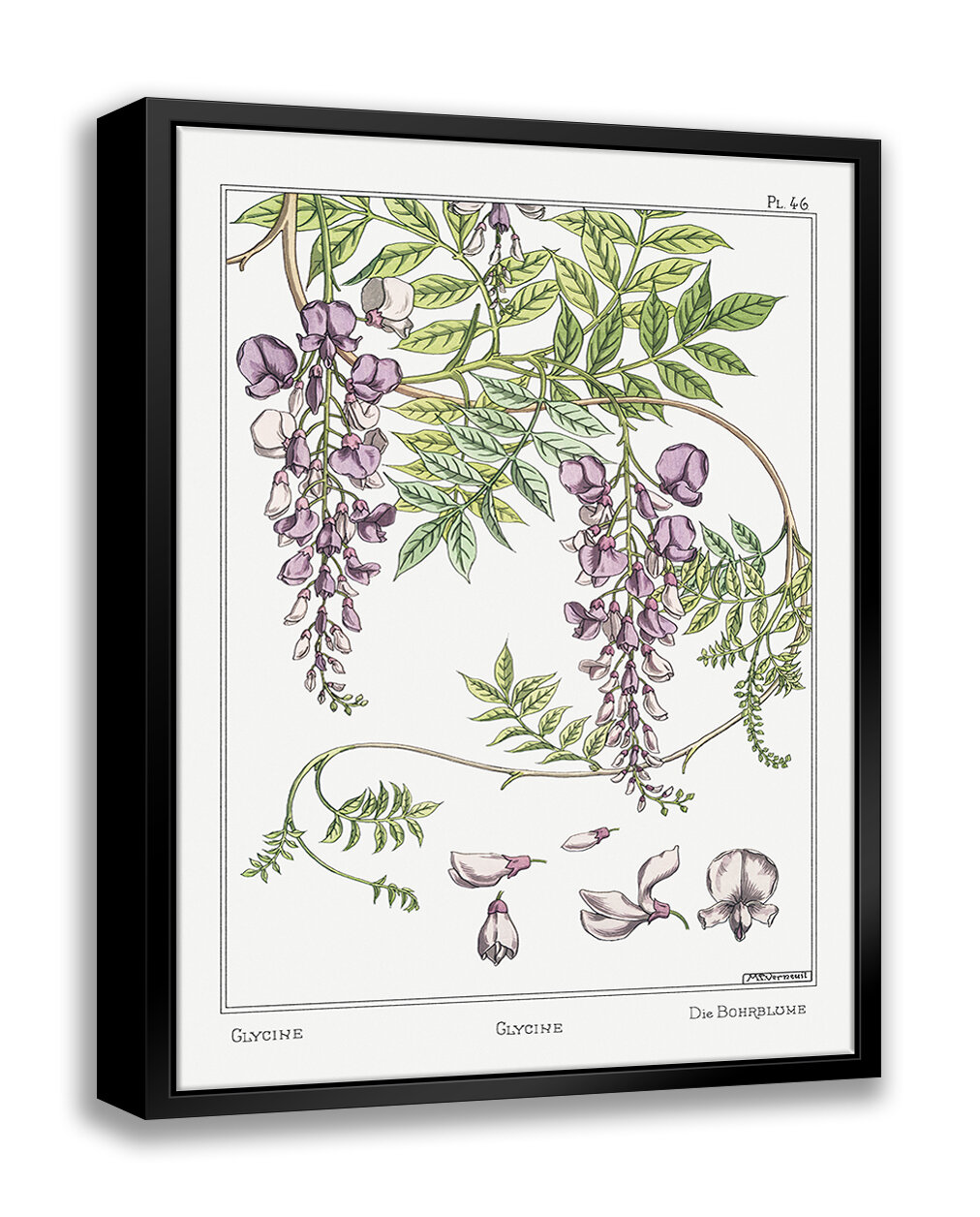 https://assets.wfcdn.com/im/27077544/compr-r85/1970/197066614/wisteria-framed-on-canvas-by-stanley-print-house-print.jpg