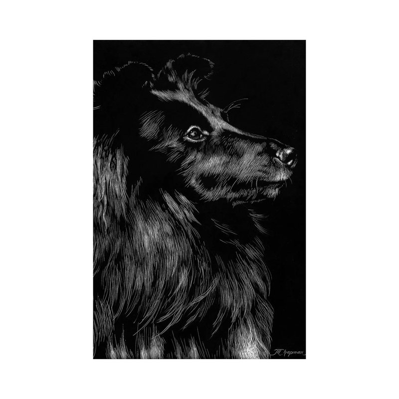 Canine Scratchboard VI by Julie T. Chapman - Wrapped Canvas Print, 101.6 cm H x 66.04 cm W x 3.175 cm D