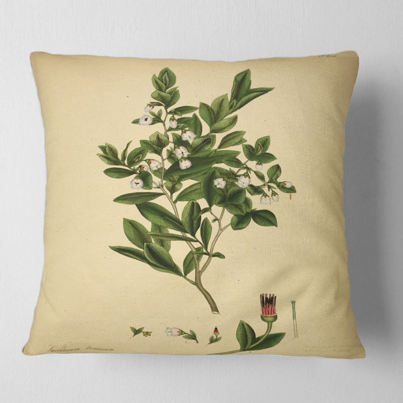 Vintage Plant Life XXV - coussin traditionnel imprimé, 16" x 16"