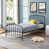 Dark Gray