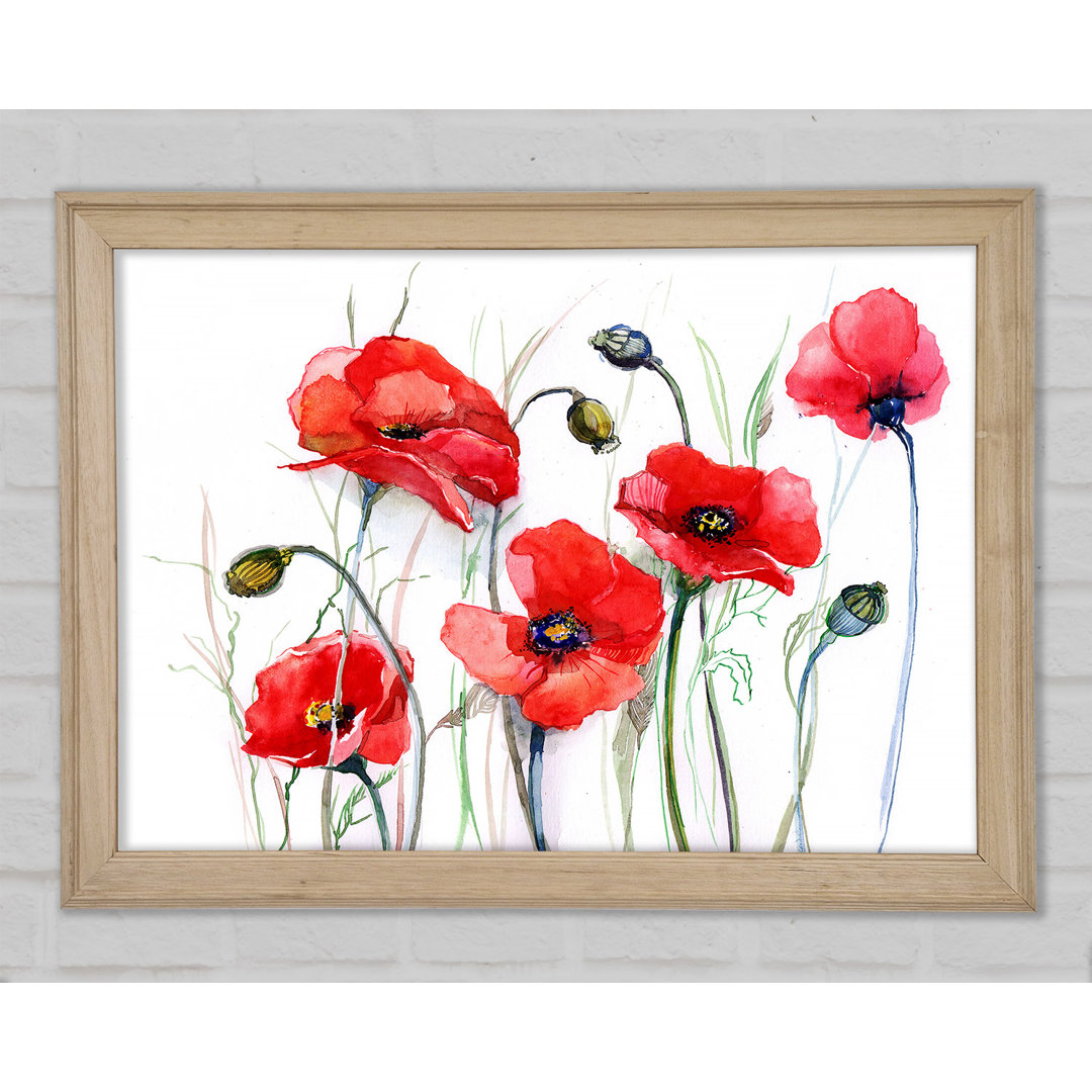 Mohn Magic Skies - Druck