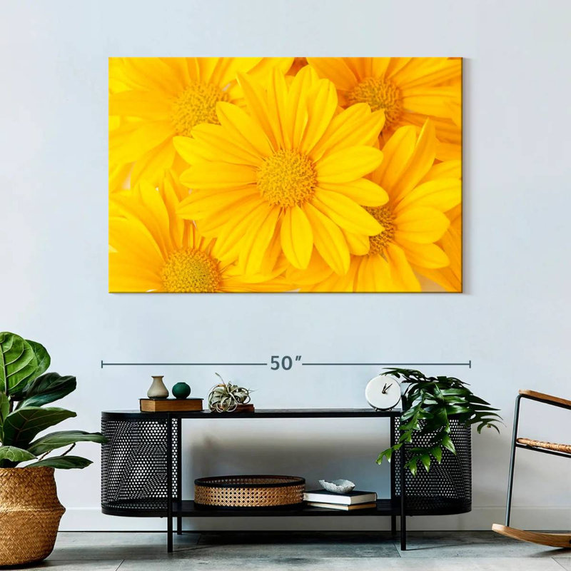Marguerites jaunes Harnek, H 32 po x l 48 po