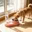 Distributeur d'eau pour chien Pet Bowl-131407801