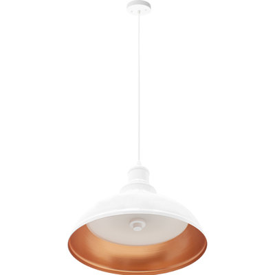 1 - Light LED Unique/Statement Pendant
