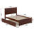 Nantucket Solid Wood Platform Bed with Matching Footboard, Trundle & USB Charger-96140456-96140457