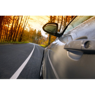 Car Driving Forest Road by Alle12