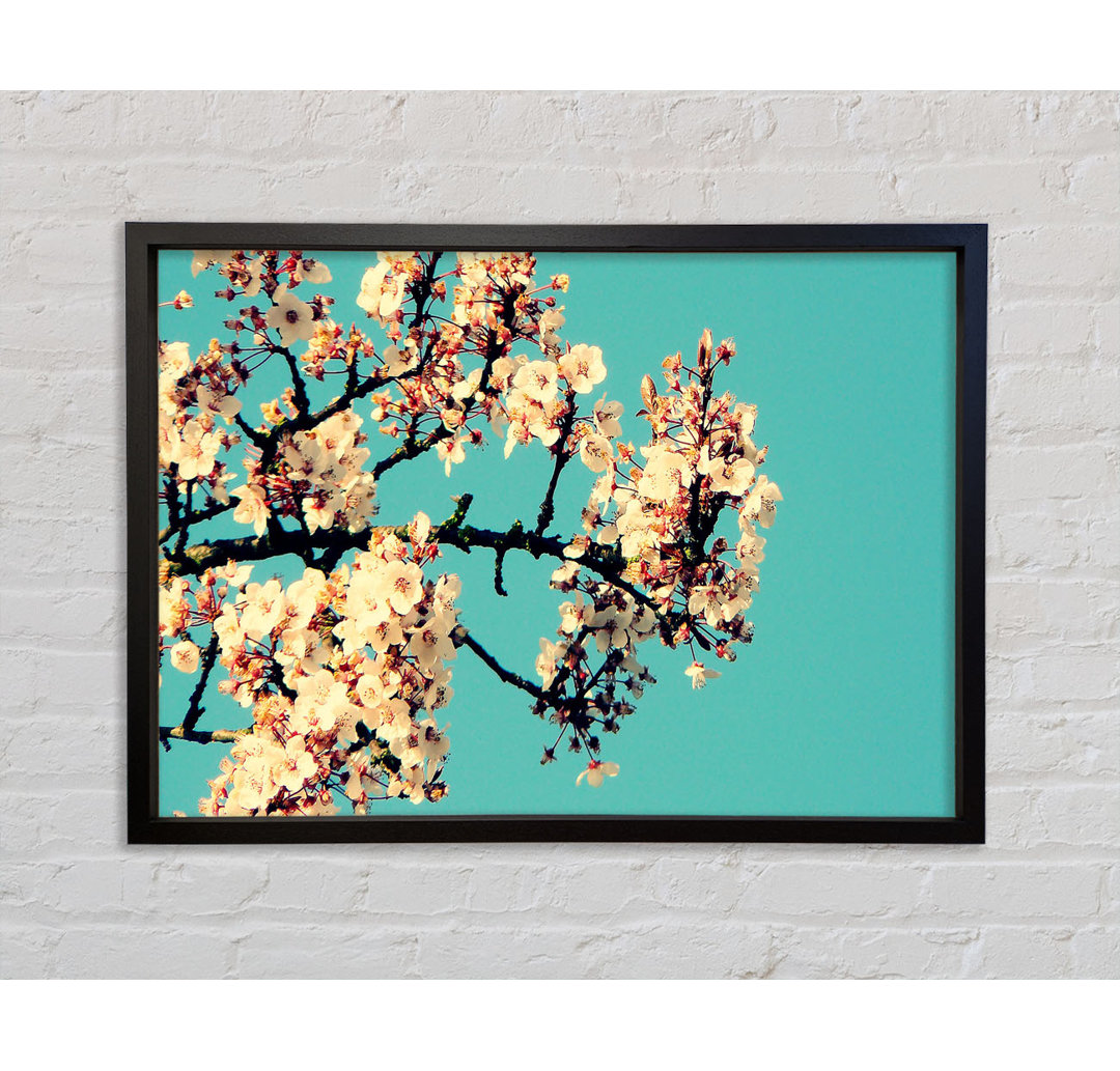 Blossom Tree Against A Blue Sky - Single Picture Frame Kunstdrucke auf Leinwand