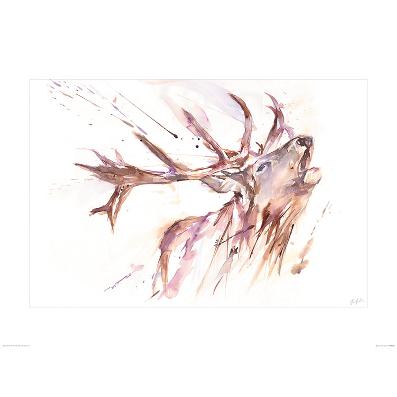 Roar by Jennifer Rose - No Frame Painting, 60 cm H x 80 cm W x 0.01 cm D