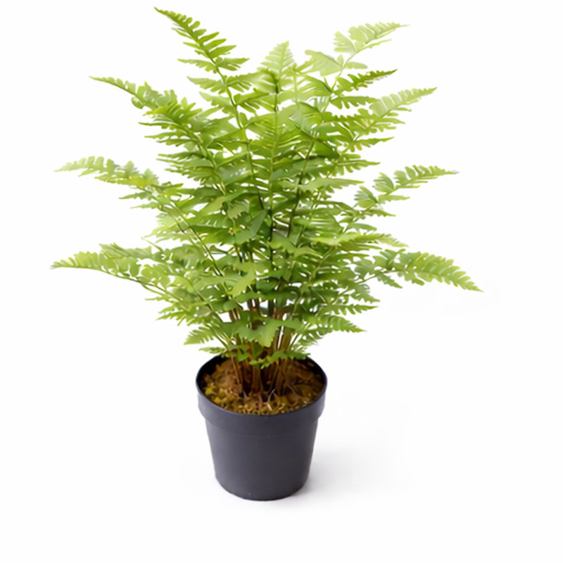 Anarah 75 cm H Faux Yucca Tree Plant in Plastic Pot Liner