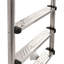 Pool Ladder