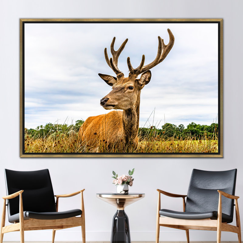 Artistique, art mural cerf dans un paysage: faune captivante, safari, caribou, Reproduction encadrée sans passe-partout, Doré
