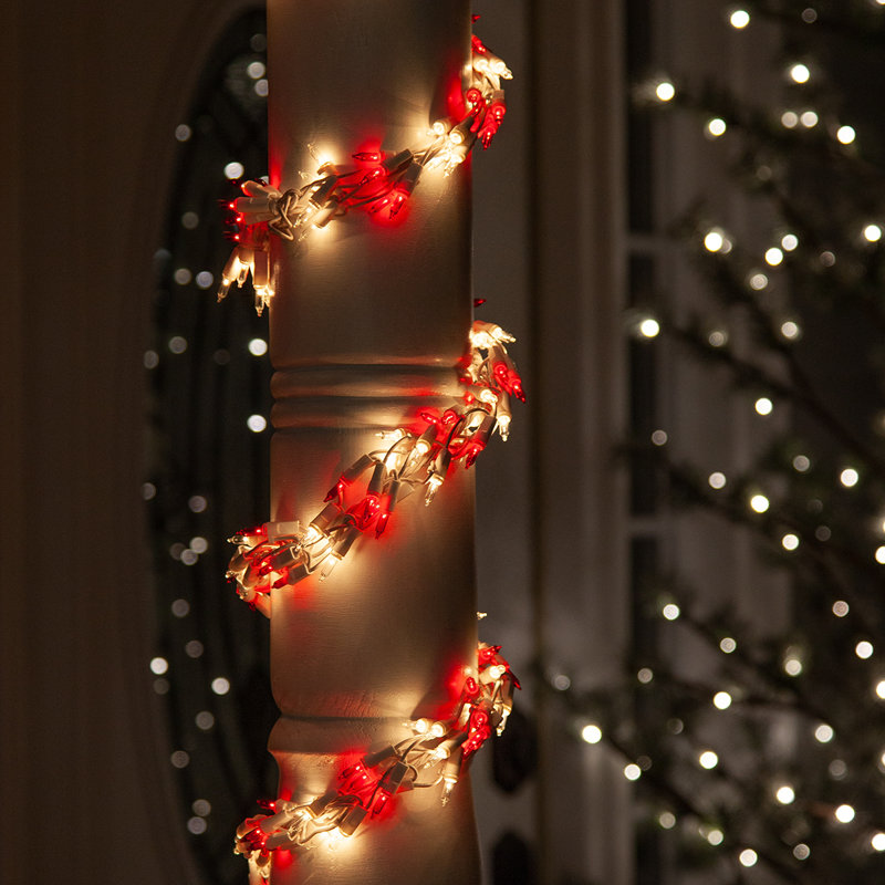 Guirlande 18 '600 lumières de Noël, Rouge / transparent