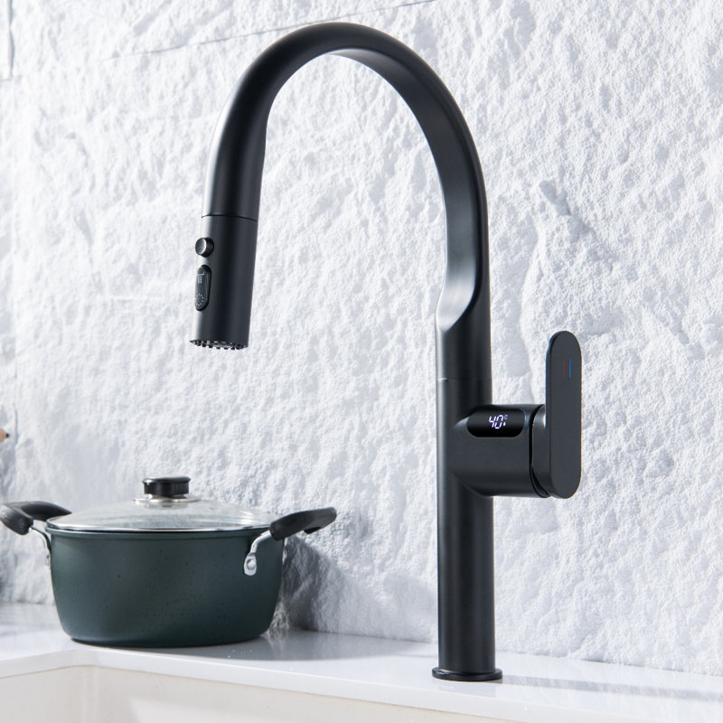 Robinet de cuisine à poignée simple avec accessoires Inhouse, Noir mat