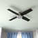 52" Dempsey 4-Blade Flush Mount Ceiling Fan with Remote Control