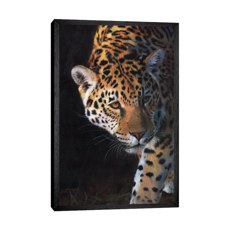 Jaguar Portrait by David Stribbling - Gallery-Wrapped Canvas Giclée on Canvas, Black Floater Framed, 66.04 cm H x 45.72 cm W