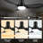 Efemena 45'' Ceiling Fan with LED Lights-1961324218