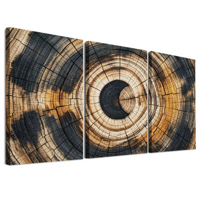 Ensemble de 3 tableaux sur toile représentant des sections transversales d'anneaux d'arbres bruns