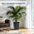 16" Set of 2 Tall Planters with Drainage Holes＆Water Level Monitor for Outdoor＆Indoor-1585732867