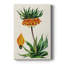 AntiqueFloralFolioVII - Cavas de galerie sur mesure-2080261518