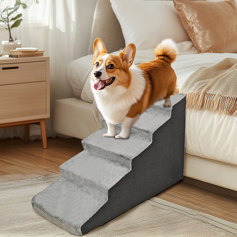 Escalier pour chien anti-dérapant 3/4 niveaux en mousse souple pour rampe pour canapé-lit haut pour vieux chiens