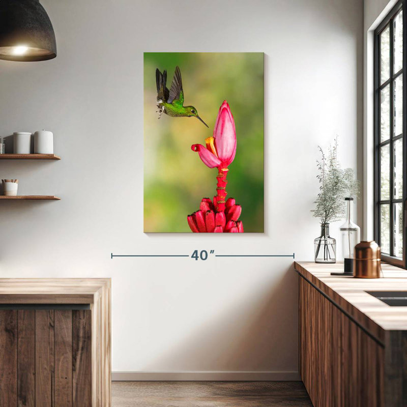 Brampt Green Crowned Hummingbird, 39" H x 26" W