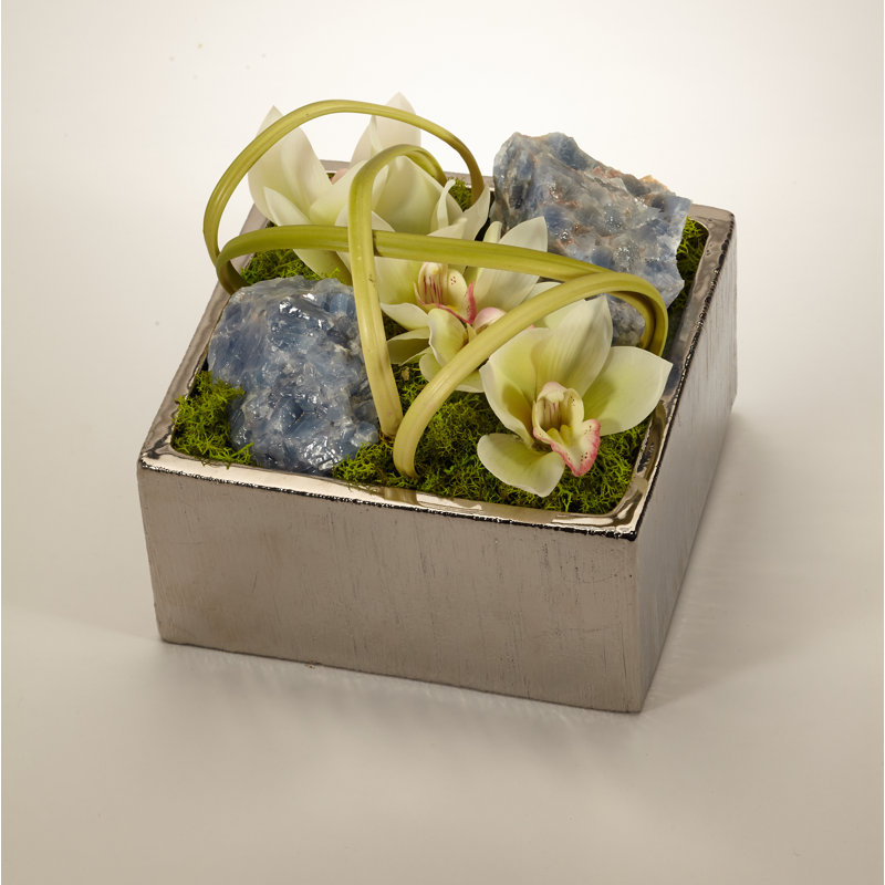 Orchids Floral Arrangement in Planter