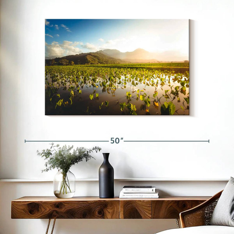 Alvord Taro Farm, 26" H x 39" W