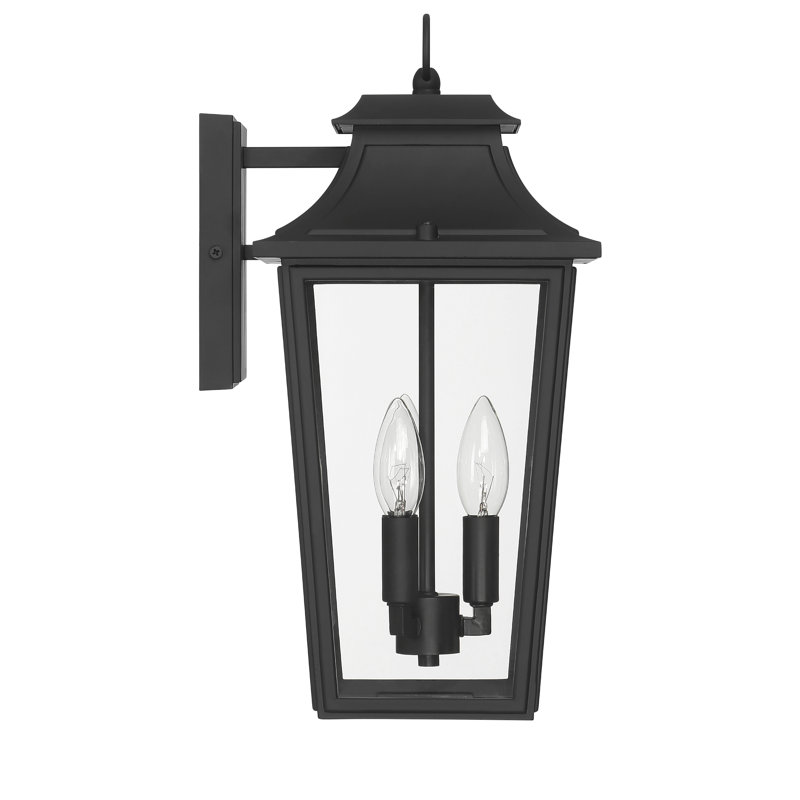 Hunter Spring Cove Outdoor 3 Light Large 17 Inch Wall Light, Black