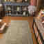 Photos des clients 2 de 3