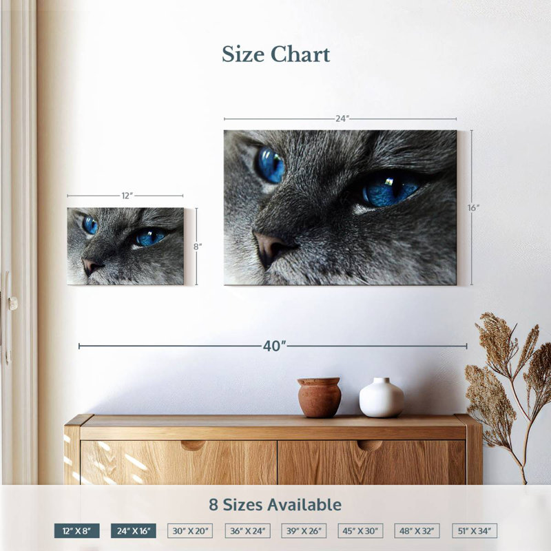 Brampt Cat Blue Eyes, 16" H x 24" W