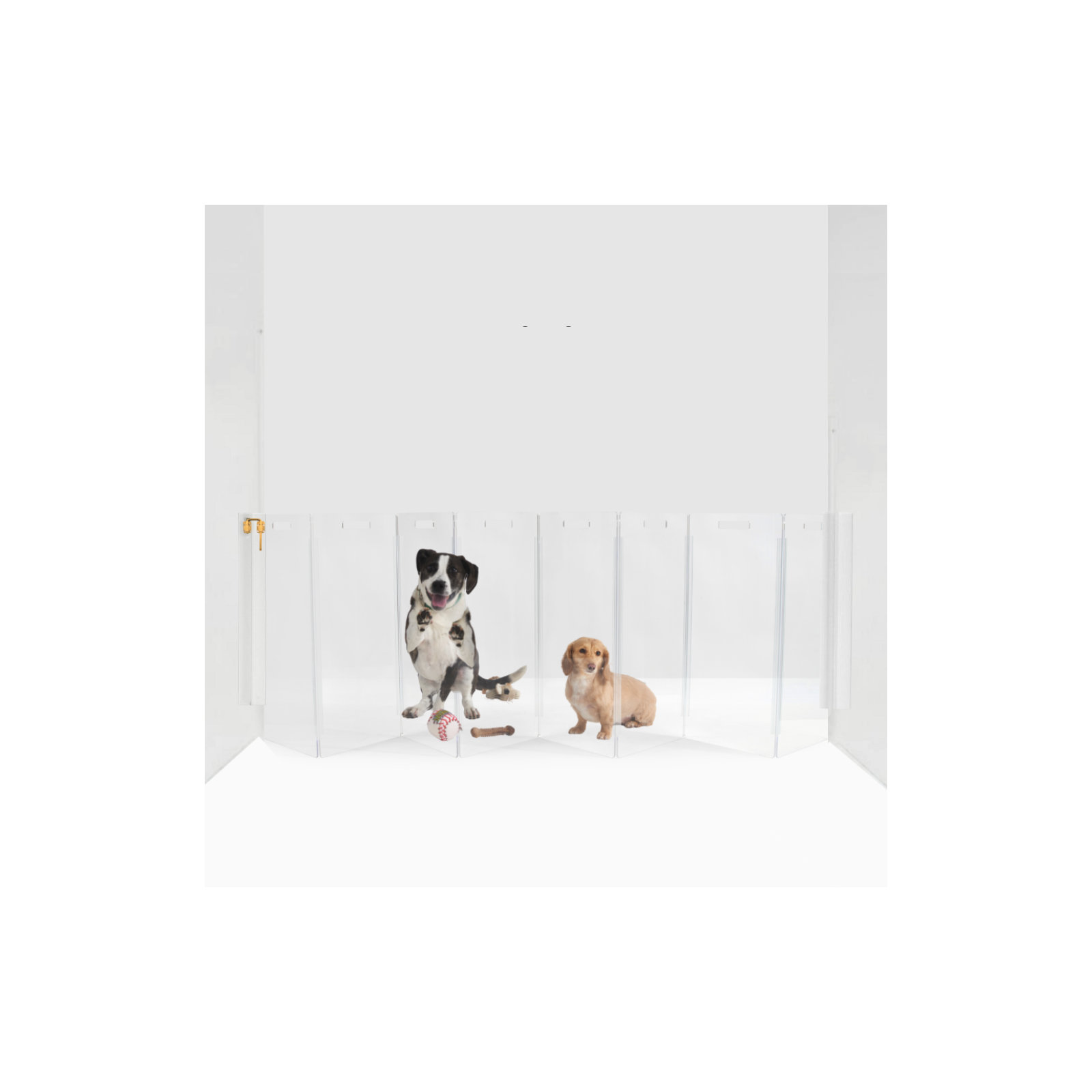 Tall Zig Zag Wall Mounted Clear Pet Gate , 8 Panel, Gold