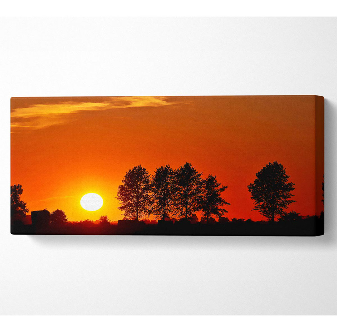 Orange Tree Horizon - Kunstdrucke auf Leinwand - Wrapped Canvas