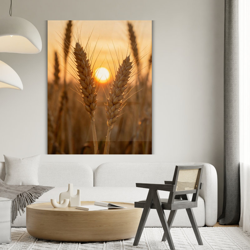Art mural en verre trempé Golden Wheat Field Sunset, H 30 po x l 20 po