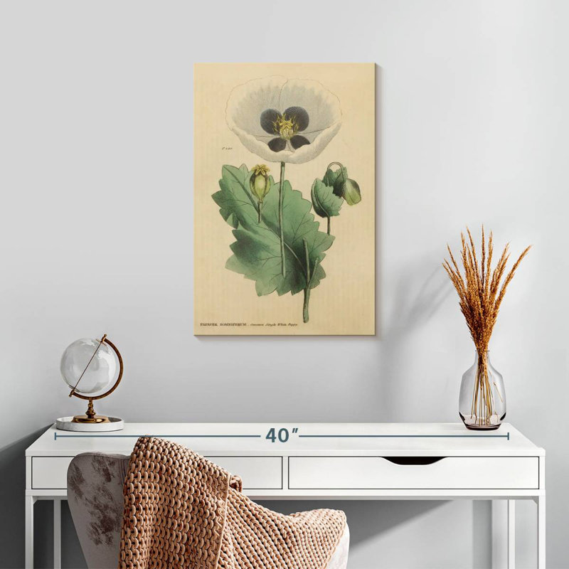 Harnek Herbal Botanical XV, 24" H x 16" W