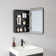 Lagos Rectangular Framed Medicine Cabinet with Mirror