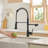 FLG Pull Down Kitchen Faucet-70133105