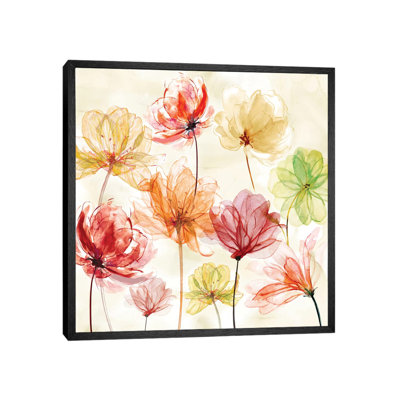 Splash Of Colour by Carol Robinson - Print on Canvas