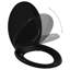 Alaniz Soft Close Elongated Toilet Seat