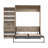Osterman Murphy Bed with Closet Organizer-1324864012-1303874064