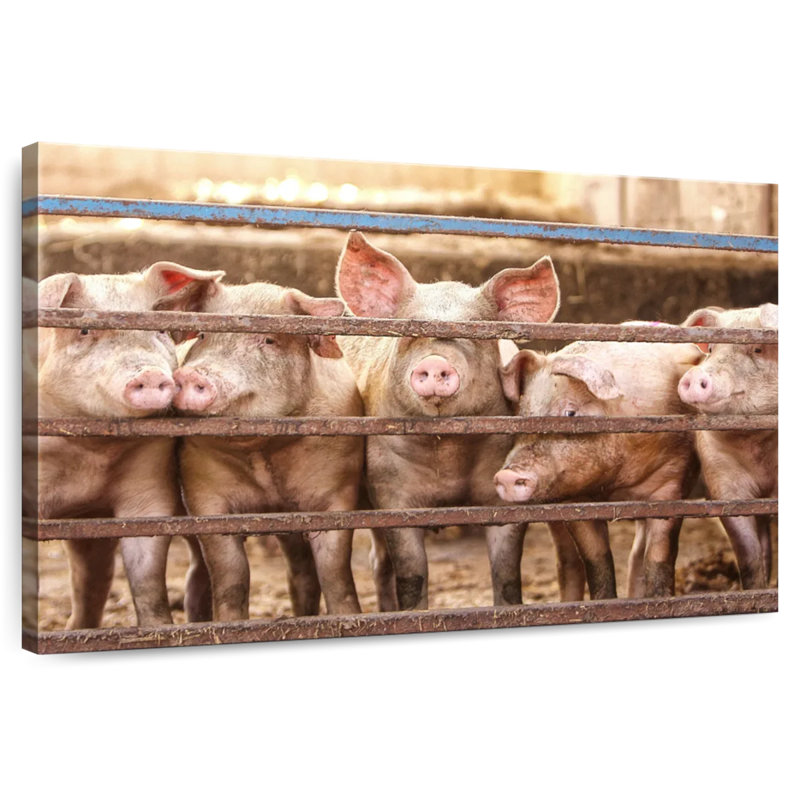 Brampt Pigs In Cage, 30" H x 45" W