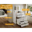 Daniqua Dressing Table with Mirror