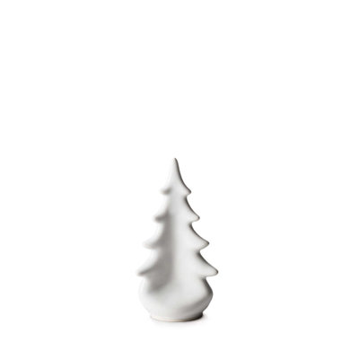 Pottery Evergreen
