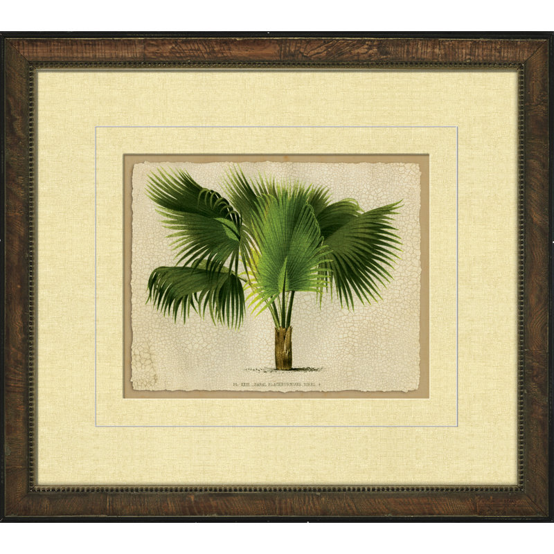 Small Crackled Horizontal Palm III Painting