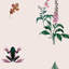 Floral Wallpaper Double Roll