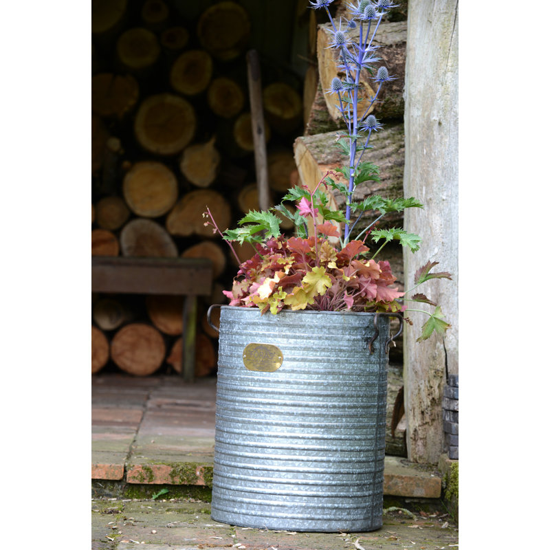 Becker Metal Pot Planter, 49.7cm H x 47.5cm W x 47.5cm D